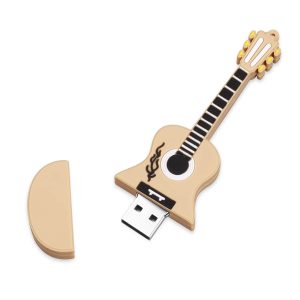 zook guitar 16GB price in India